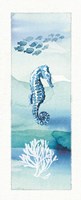 Sea Life VII Framed Print