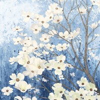 Dogwood Blossoms I Indigo Framed Print
