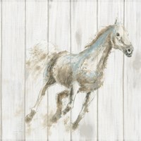 Stallion I on Birch Framed Print