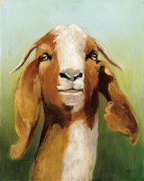 Got Your Goat Framed Print