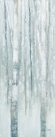 Birches in Winter Blue Gray Panel I Framed Print