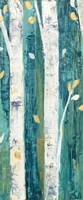 Birches in Spring Panel II Framed Print