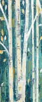 Birches in Spring Panel I Framed Print