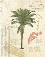 Floridian II Framed Print