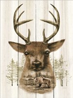 Deer Wilderness Portrait Framed Print