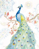 Jaipur II Fine Art Print
