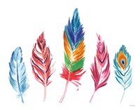 Rainbow Feathers IV Framed Print