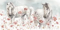 Wild Horses III Fine Art Print