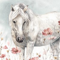 Wild Horses V Framed Print