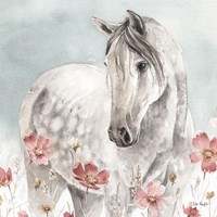 Wild Horses IV Framed Print