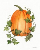 Pumpkin and Vines IV Framed Print