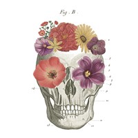Floral Skull II Framed Print
