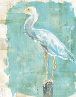 Coastal Egret II Framed Print