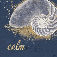 Calm Seas IX Framed Print