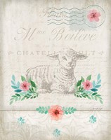 French Spring Lamb Framed Print