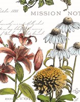 Botanical Postcard Color II Framed Print