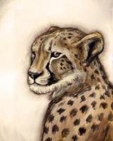 Cheetah Portrait Framed Print