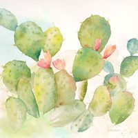Cactus Garden I Framed Print