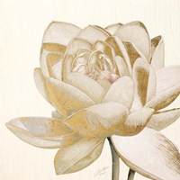 Vintage Lotus Cream II Framed Print
