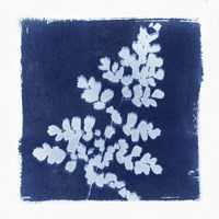Flora Cyanotype I Framed Print