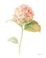 Floursack Florals on White V Framed Print