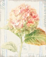 Floursack Florals VI Framed Print
