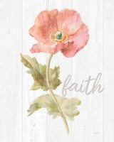 Garden Poppy on Wood Faith Framed Print
