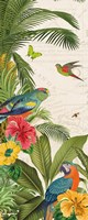 Parrot Paradise VI Framed Print