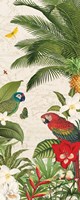 Parrot Paradise VII Framed Print