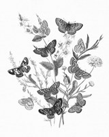 Butterfly Bouquet I Linen BW I Framed Print