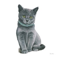 Cutie Kitties VI Framed Print
