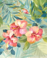 Hibiscus Garden III Framed Print