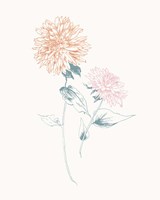 Flowers on White IV Contemporary Framed Print