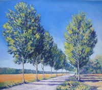 Picardy Poplars IV Fine Art Print