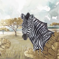 Golden Zebras Framed Print