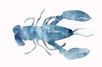 Blue Lobster Framed Print