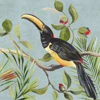 Paradise Toucan II Framed Print