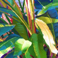 Palm Impressions B 8 Fine Art Print