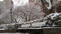 New York Benches 2 Fine Art Print