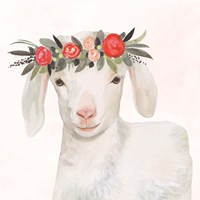 Garden Goat IV Framed Print