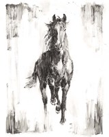 Rustic Black Stallion I Framed Print