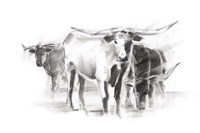 Contemporary Cattle II Framed Print