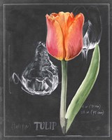 Chalkboard Flower III Framed Print