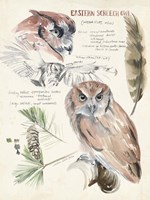 Wildlife Journals I Framed Print