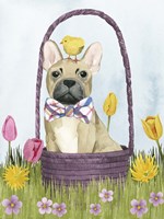 Puppy Easter III Framed Print