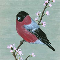 Bird & Blossoms I Framed Print