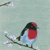 Bird & Blossoms IV Framed Print