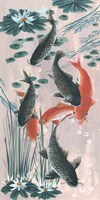 Traditional Koi Pond II Framed Print