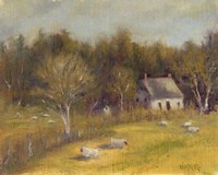 Cottage Meadow I Framed Print