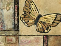 Butterfly in Border II Framed Print